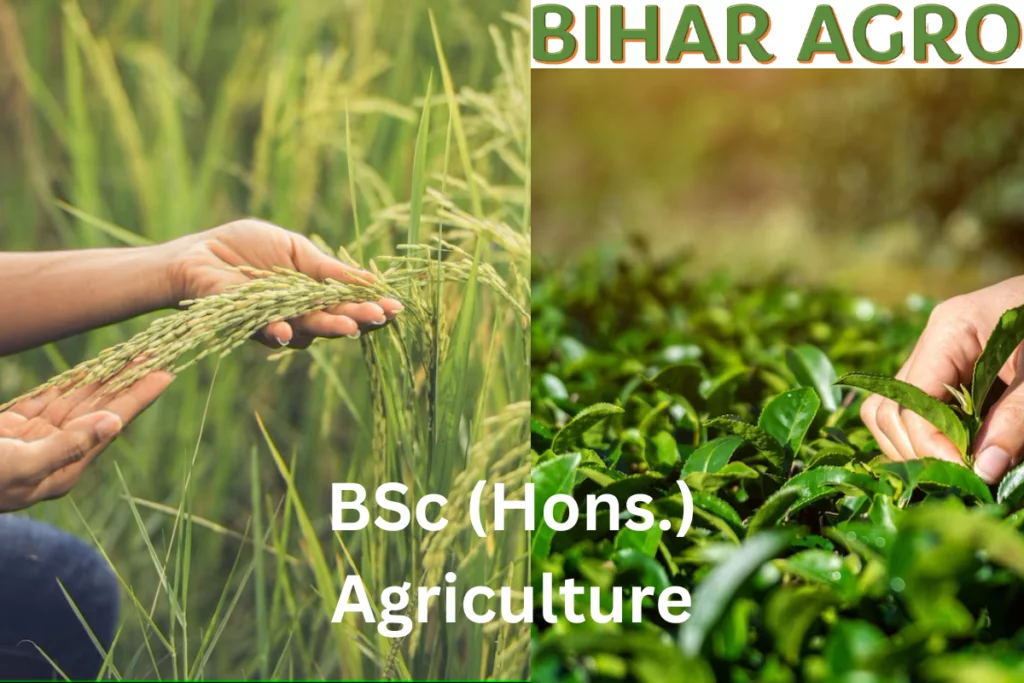 Bsc Agriculture