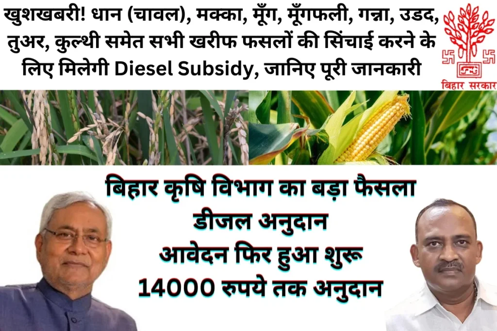 Diesel Subsidy