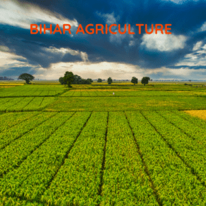 Bihar Agro