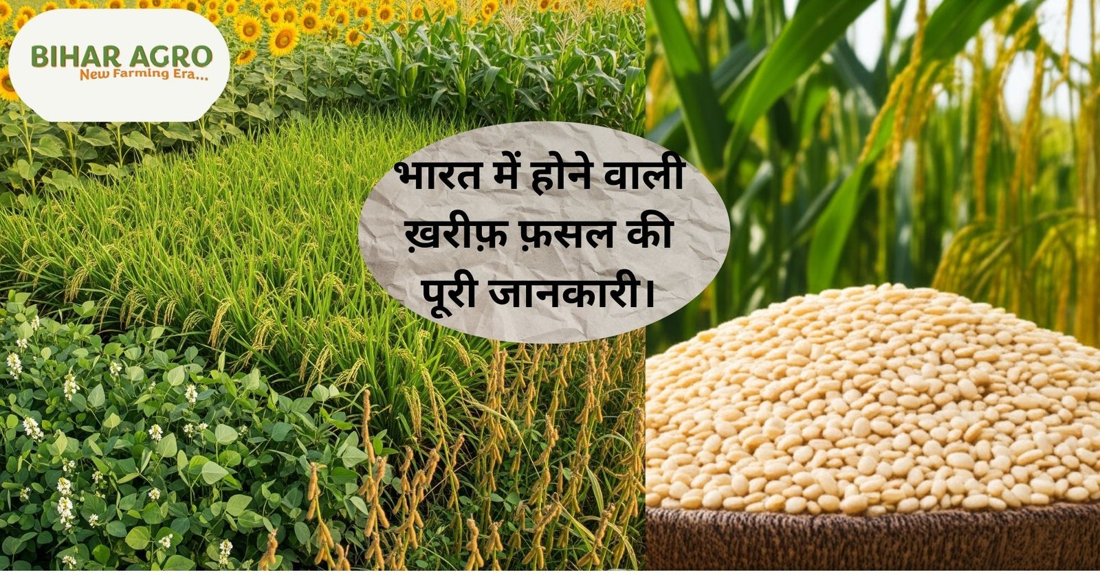 खरीफ फसल, धान की खेती, Kharif crop, paddy cultivation, Paddy धान