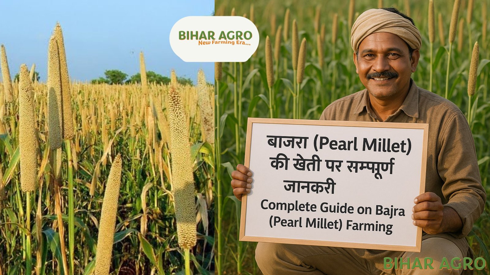 बाजरा की खेती, बाजरे के प्रकार, Pearl Millet cultivation, बाजरा की जानकारी, बाजरे की उपज,