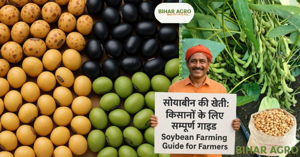 सोयाबीन की खेती (Soybean ki kheti / Soybean farming), सोयाबीन की किस्में (Soybean ki kisme / Soybean varieties), सोयाबीन का बीज (Soybean ka beej / Soybean seeds), सोयाबीन की बुवाई (Soybean ki buvai / Soybean sowing), सोयाबीन में रोग (Soybean mein rog / Soybean diseases), सोयाबीन की पैदावार (Soybean ki paidawar / Soybean yield), सोयाबीन का भाव (Soybean ka bhav / Soybean price), जैविक सोयाबीन खेती (Jaivik soybean kheti / Organic soybean farming),