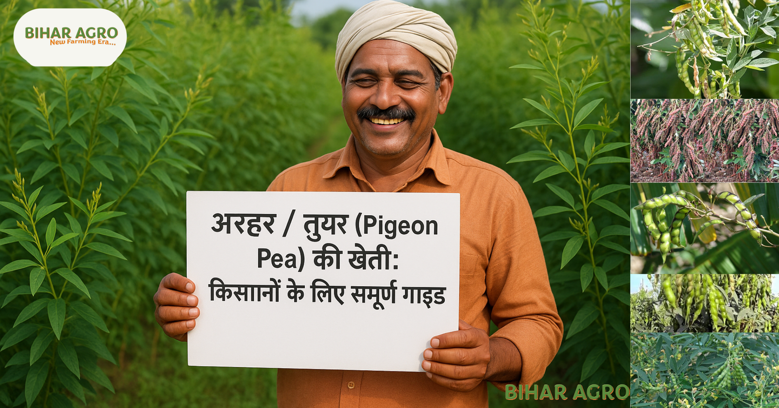 अरहर की खेती (Arhar ki kheti), तुअर दाल की खेती (Toor dal ki kheti), Pigeon Pea cultivation, अरहर/तुअर के प्रकार (Pigeon Pea varieties), अरहर/तुअर रोग नियंत्रण (Pigeon Pea disease control), अरहर/तुअर की पैदावार (Pigeon Pea yield), अरहर/तुअर के लिए मिट्टी (Soil for Pigeon Pea), दलहनी फसलें (Pulses farming), भारत में अरहर की खेती (Pigeon Pea farming in India), अरहर/तुअर की उन्नत किस्में (Improved varieties of Pigeon Pea)