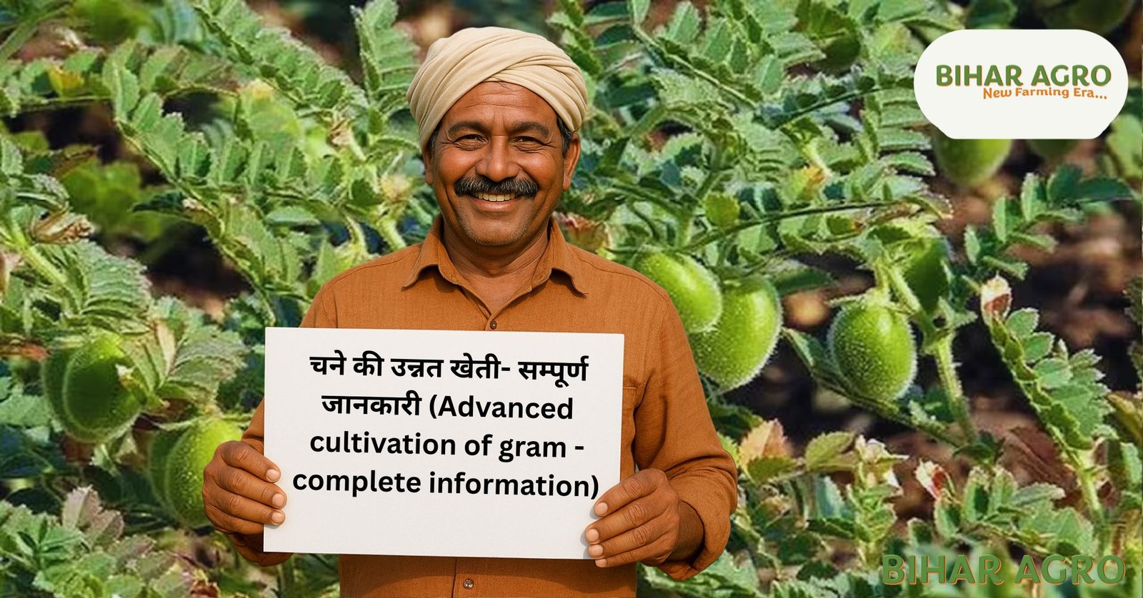 चने की उन्नत खेती- सम्पूर्ण जानकारी (Advanced cultivation of gram - complete information)