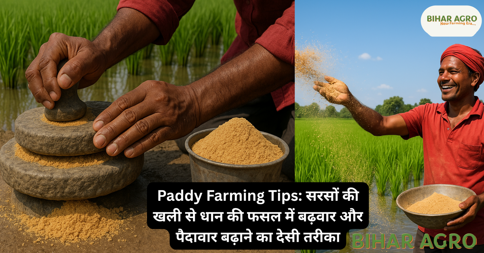 धान की खेती, paddy farming tips, सरसों की खली का उपयोग, धान में जैविक खेती, organic paddy farming, धान में यूरिया के विकल्प, धान की पैदावार कैसे बढ़ाएं