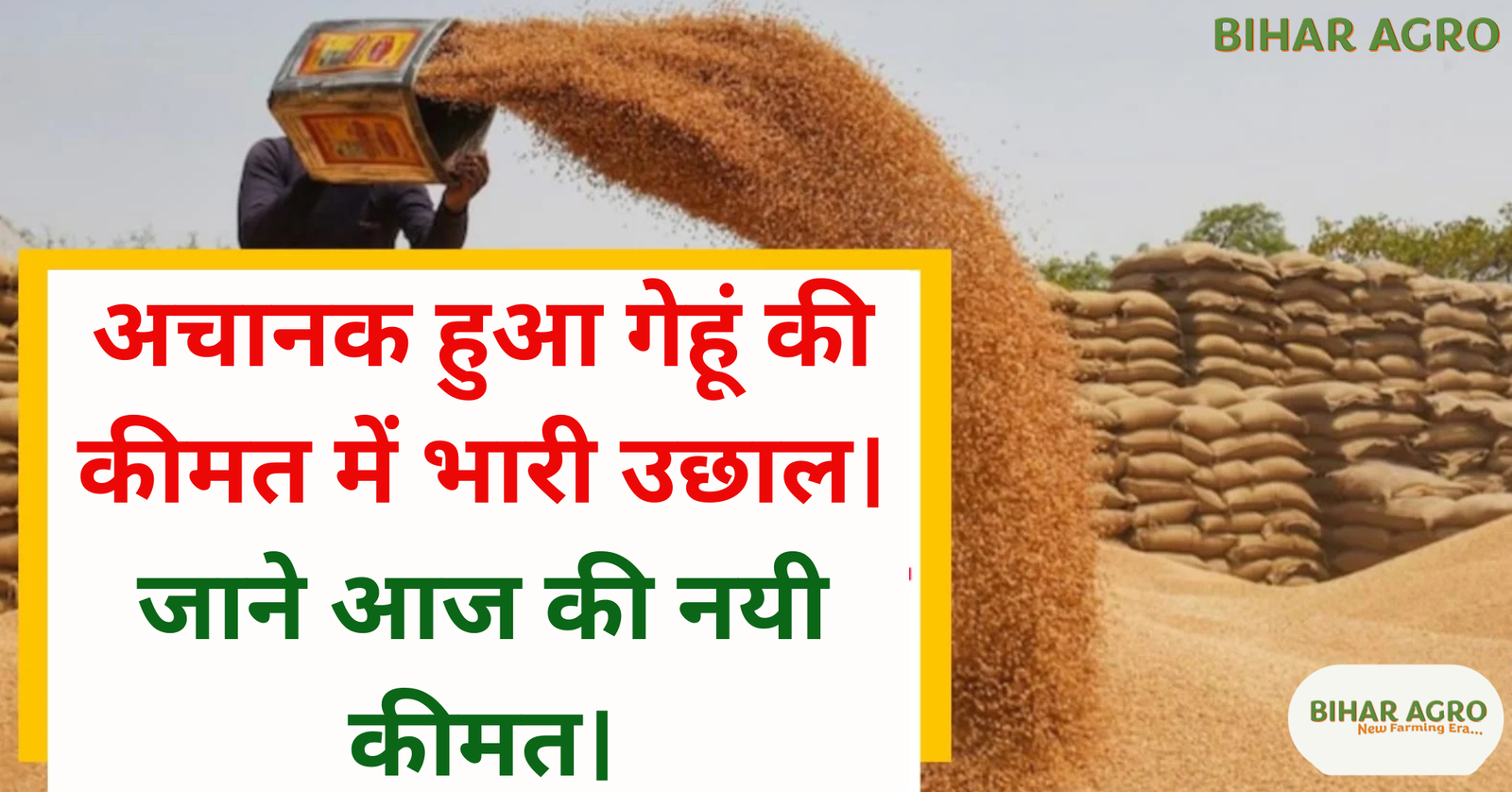 गेहूं की कीमत, गेहूं का भाव, गेहूं प्राइस टुडे, गेहूं के दाम में उछाल, गेहूं महंगा क्यों, गेहूं का रेट आज का, गेहूं उत्पादन, सरकारी नीतियां गेहूं, फूड ग्रेन प्राइस इंडिया, किसानों पर गेहूं का असर, उपभोक्ताओं पर गेहूं का असर, भारत में गेहूं की कीमतें, मंडियों में गेहूं का भाव, आटा महंगा क्यों,