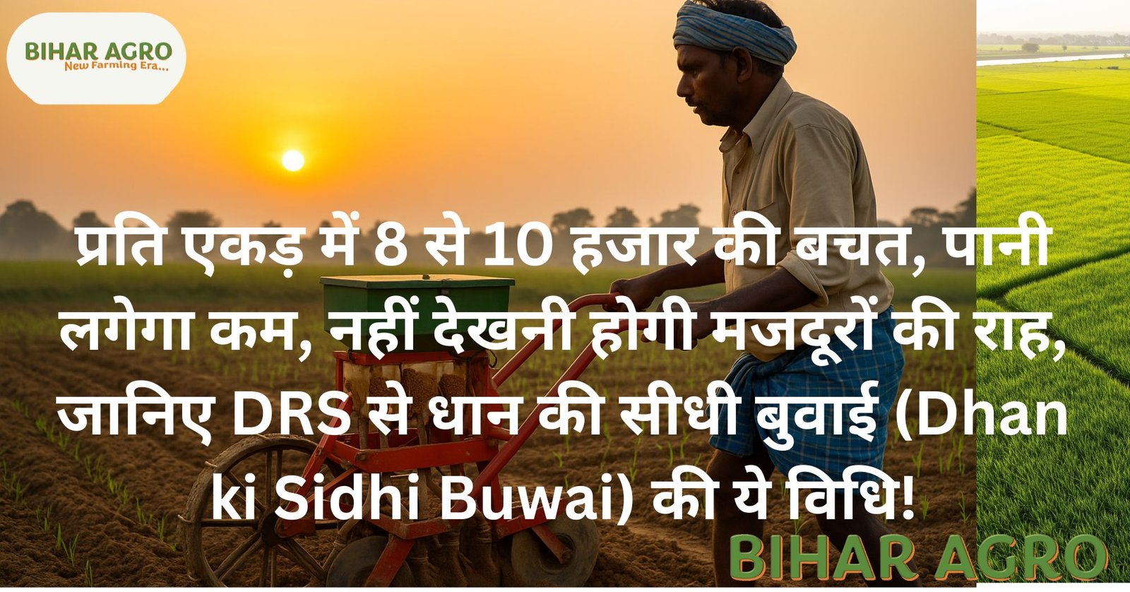 डायरेक्ट सोइंग के फायदे DRS, Direct Seeded Rice Sowing