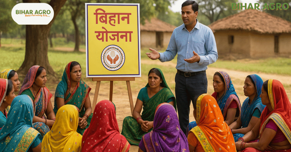 बिहान योजना, सब्जी की खेती सफलता कहानी, लखपति दीदी, महिला स्व सहायता समूह, Vegetable Farming in Chhattisgarh, NRLM Success Story, महिला किसान योजना, Ketki Didi Success Story, Rural Women Empowerment, छत्तीसगढ़ किसान योजना,