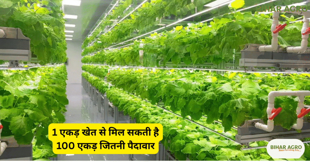 vertical farming, वर्टिकल फार्मिंग, vertical farming in india, hydroponics, aeroponics, indoor farming, modern agriculture, urban farming, smart farming, future of farming, vertical farming benefits, vertical farming techniques, vertical farming challenges,