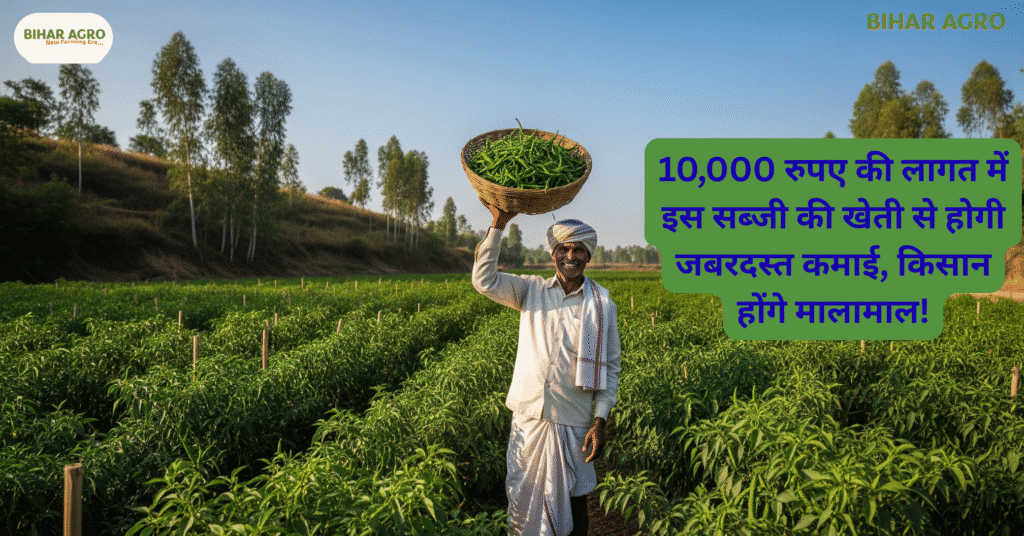 हरी मिर्च की खेती, मिर्च की खेती से मुनाफा, सब्जियों की खेती में घाटा और फायदा, किसानों की आमदनी बढ़ाने के तरीके, कम लागत में खेती के फायदे