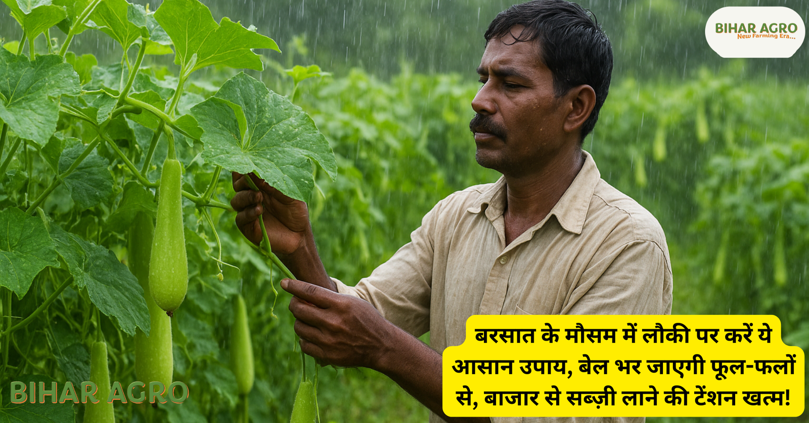 Lauki ki kheti, लौकी की खेती, बरसात में लौकी की देखभाल, लौकी में कीड़े का इलाज, लौकी का विकास बढ़ाने का तरीका, लौकी के पौधे का घरेलू उपचार, लौकी बेल पर फूल-फल बढ़ाने का उपाय,