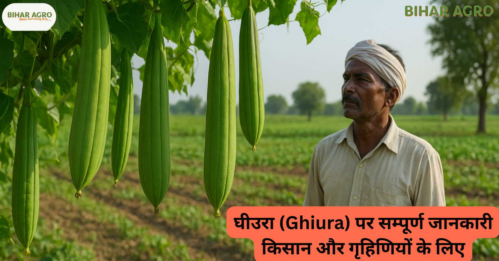 Ghiura, घीउरा का फूल, घीउरा की सब्जी, घीउरा के फायदे, घीउरा का अचार, घीउरा का पौधा, घीउरा कैसे उगाएँ, घीउरा के बीज