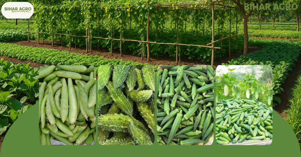 आलान (Trellis)