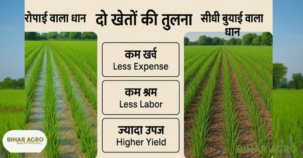सीधी धान बुआई, Direct Paddy Sowing, DSR तकनीक, Paddy Farming Tips, कम लागत वाली खेती, धान की नई तकनीक,धान बुआई, Paddy Farming, DSR Method, Organic Farming, Sustainable Agriculture, धान खेती तकनीक, कम लागत खेती, आधुनिक खेती, सीधी धान बुआई, Direct Paddy Sowing, DSR Method, Paddy Farming Tips, धान खेती तकनीक, कम लागत खेती, धान बुआई मशीन, DSR खेती क्या है, Paddy Direct Seeding, धान की पैदावार कैसे बढ़ाएं, Paddy cultivation method, Sustainable paddy farming, धान बोने का सही समय, धान के लिए उपयुक्त मिट्टी, धान खेती, Paddy Farming, DSR Paddy, Sustainable Agriculture, Modern Farming India, Organic Paddy, Paddy Sowing Tips, कम लागत खेती,