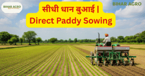 सीधी धान बुआई, Direct Paddy Sowing, DSR तकनीक, Paddy Farming Tips, कम लागत वाली खेती, धान की नई तकनीक,धान बुआई, Paddy Farming, DSR Method, Organic Farming, Sustainable Agriculture, धान खेती तकनीक, कम लागत खेती, आधुनिक खेती, सीधी धान बुआई, Direct Paddy Sowing, DSR Method, Paddy Farming Tips, धान खेती तकनीक, कम लागत खेती, धान बुआई मशीन, DSR खेती क्या है, Paddy Direct Seeding, धान की पैदावार कैसे बढ़ाएं, Paddy cultivation method, Sustainable paddy farming, धान बोने का सही समय, धान के लिए उपयुक्त मिट्टी, धान खेती, Paddy Farming, DSR Paddy, Sustainable Agriculture, Modern Farming India, Organic Paddy, Paddy Sowing Tips, कम लागत खेती,