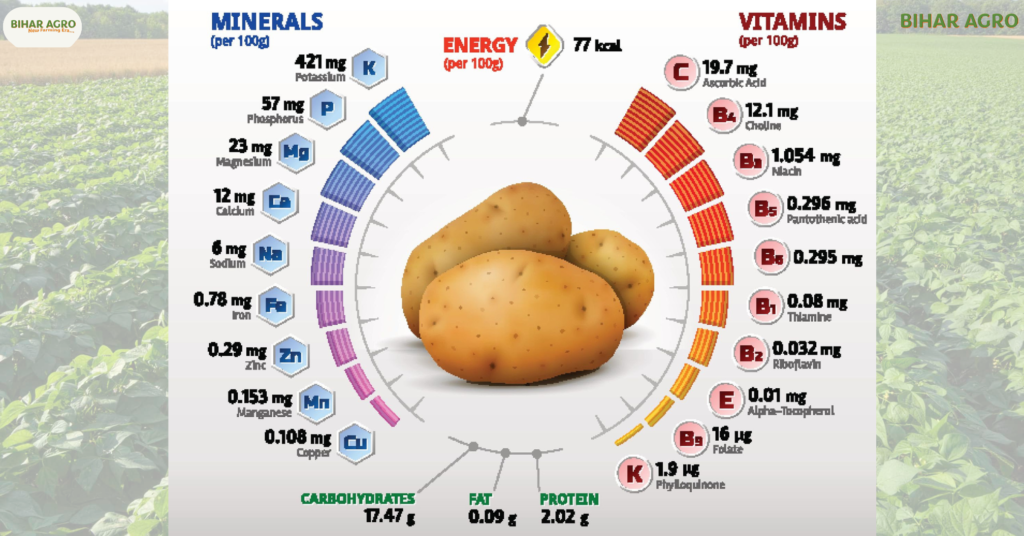 आलू में लगने वाले रोग और उसका नियंत्रण, Potato Diseases and Control, आलू की खेती में रोग, आलू रोग नियंत्रण, Potato Farming Diseases, आलू रोग के लक्षण, आलू रोग के उपाय