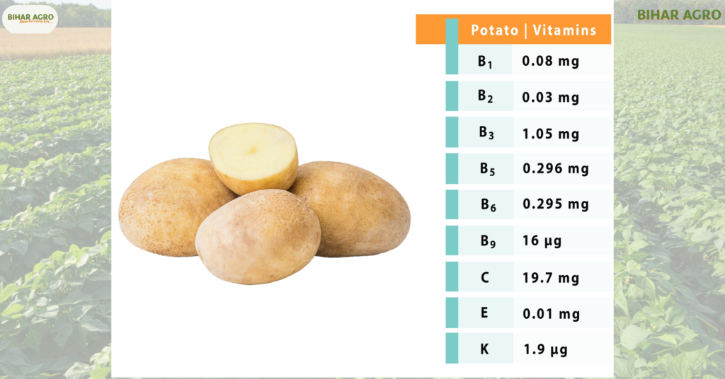 आलू में लगने वाले रोग और उसका नियंत्रण, Potato Diseases and Control, आलू की खेती में रोग, आलू रोग नियंत्रण, Potato Farming Diseases, आलू रोग के लक्षण, आलू रोग के उपाय