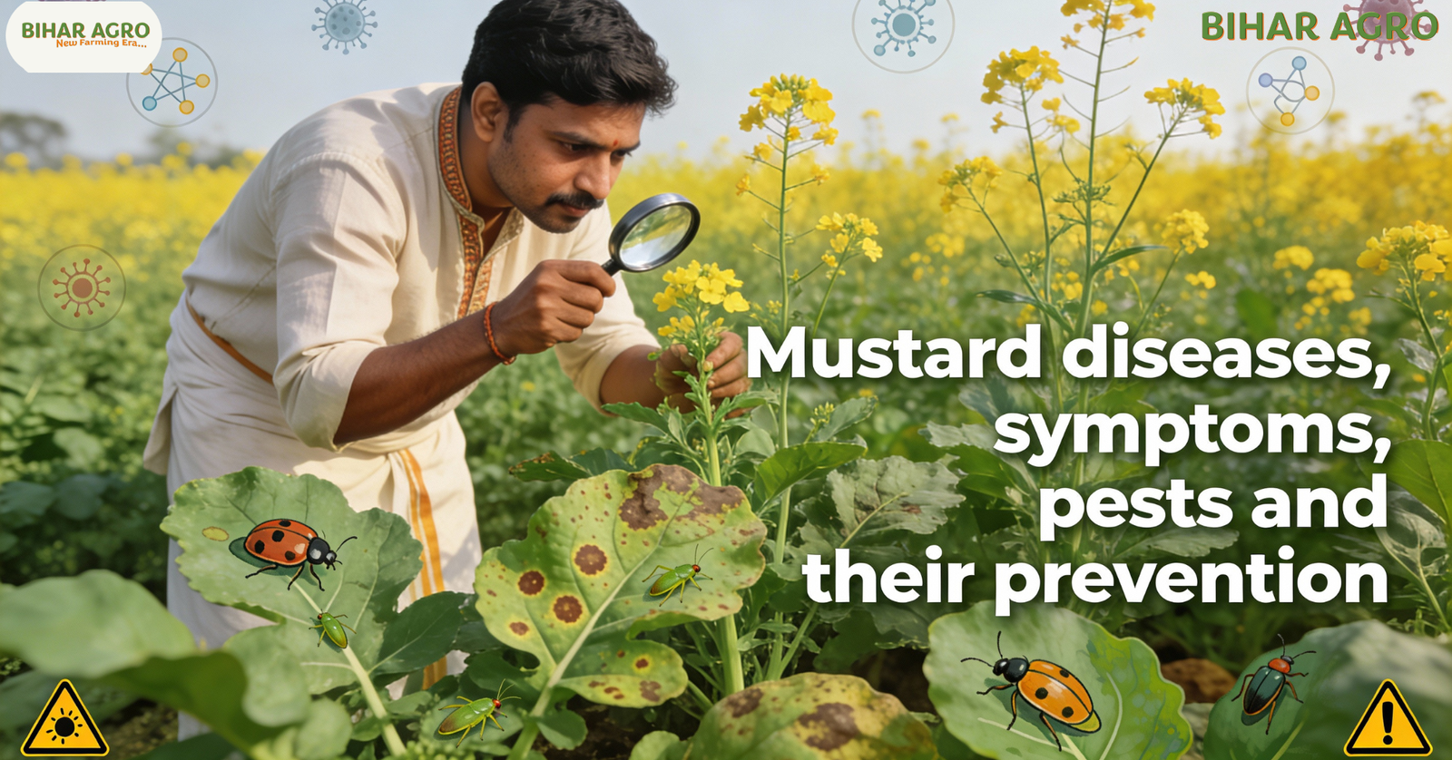सरसों के रोग, Mustard diseases, कीट नियंत्रण, Mustard pests, रोग रोकथाम, Mustard farming, सरसों की खेती, organic farming, agriculture,