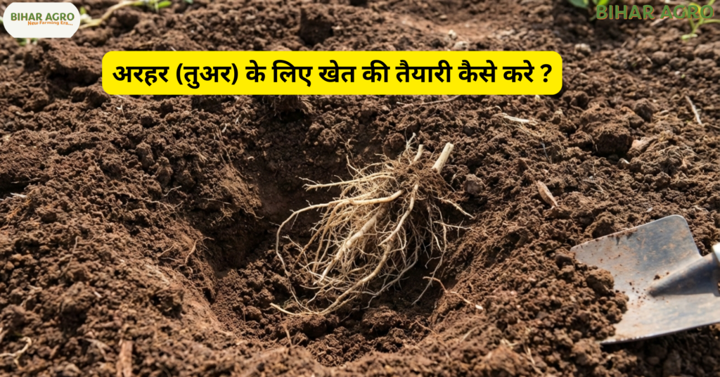 अरहर की खेती कैसे करें? Pigeon Pea, Pigeon Pea Farming, pigeon pea farming in hindi, arhar ki kheti, tuvar dal farming, organic farming of pigeon pea, pulses farming in india, अरहर की उन्नत किस्में, अरहर की खेती का समय, pigeon pea crop guide, 