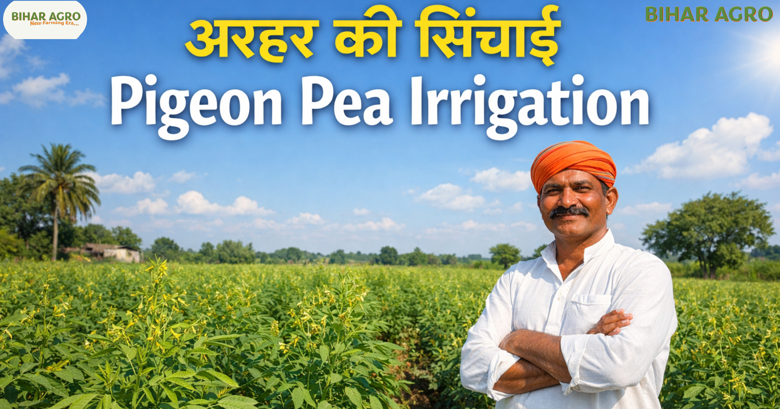 अरहर की खेती, अरहर की सिंचाई, Pigeon Pea Irrigation, तुअर की खेती, दलहनी फसल, किसान गाइड