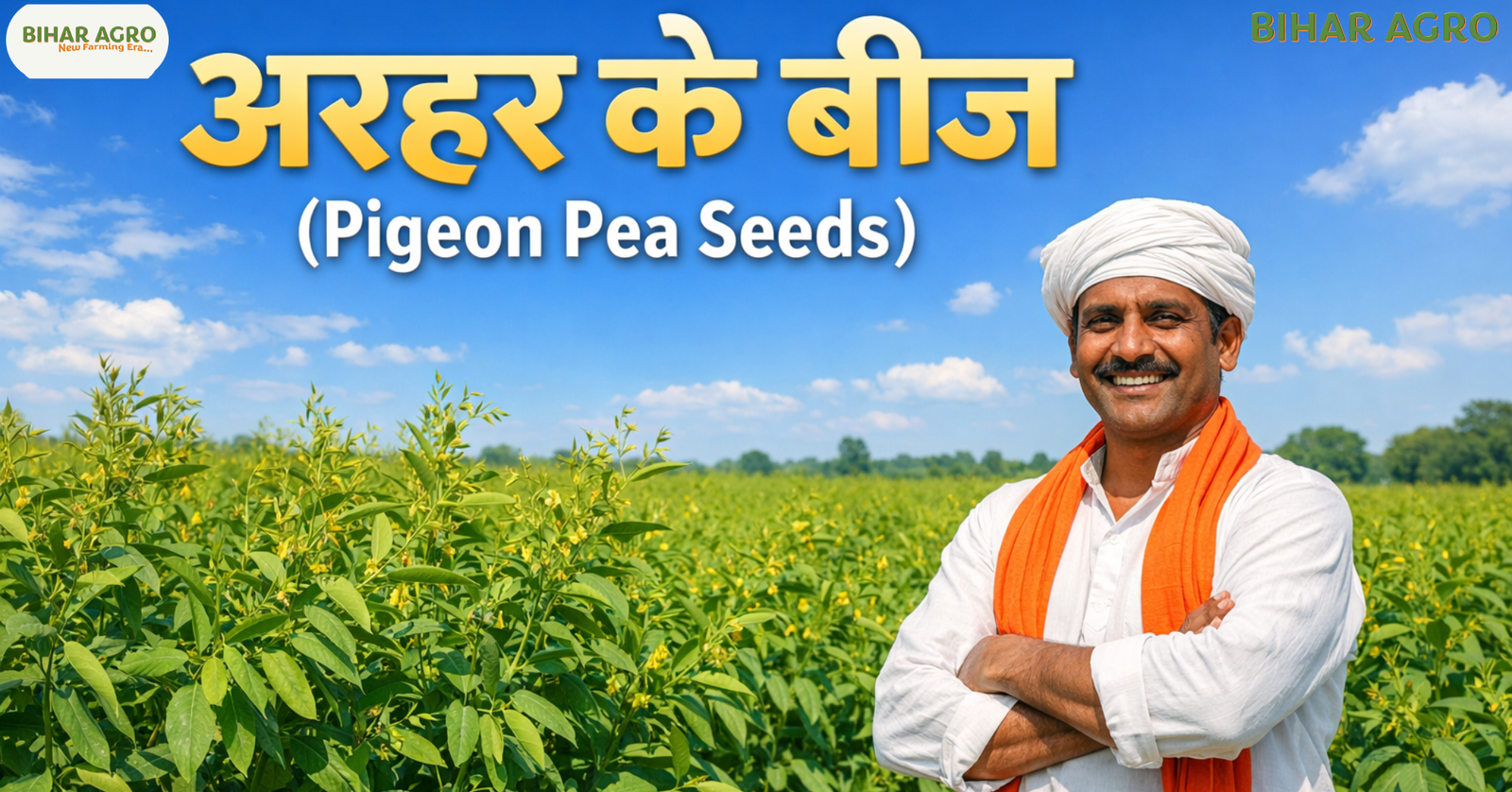 अरहर के बीज, pigeon pea seeds, अरहर बीज कीमत, best pigeon pea seeds, arhar seed rate,