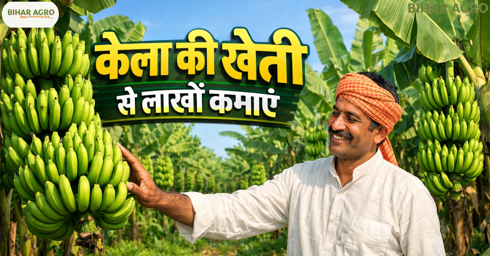 केला की खेती, Banana Farming, केले की खेती कैसे करें, टिश्यू कल्चर केला,