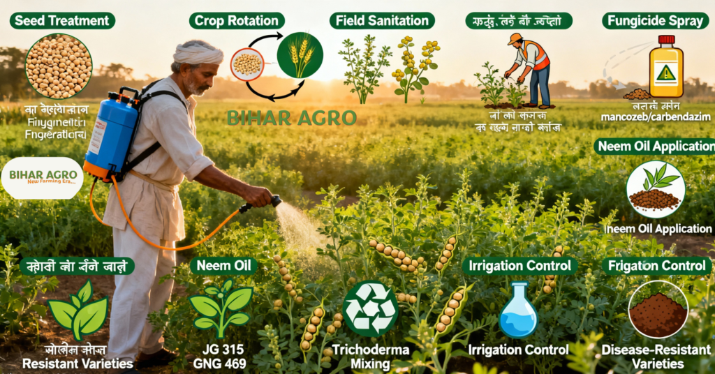 चना में लगने वाले रोग और उसका नियंत्रण ,Gram Diseases and Control,