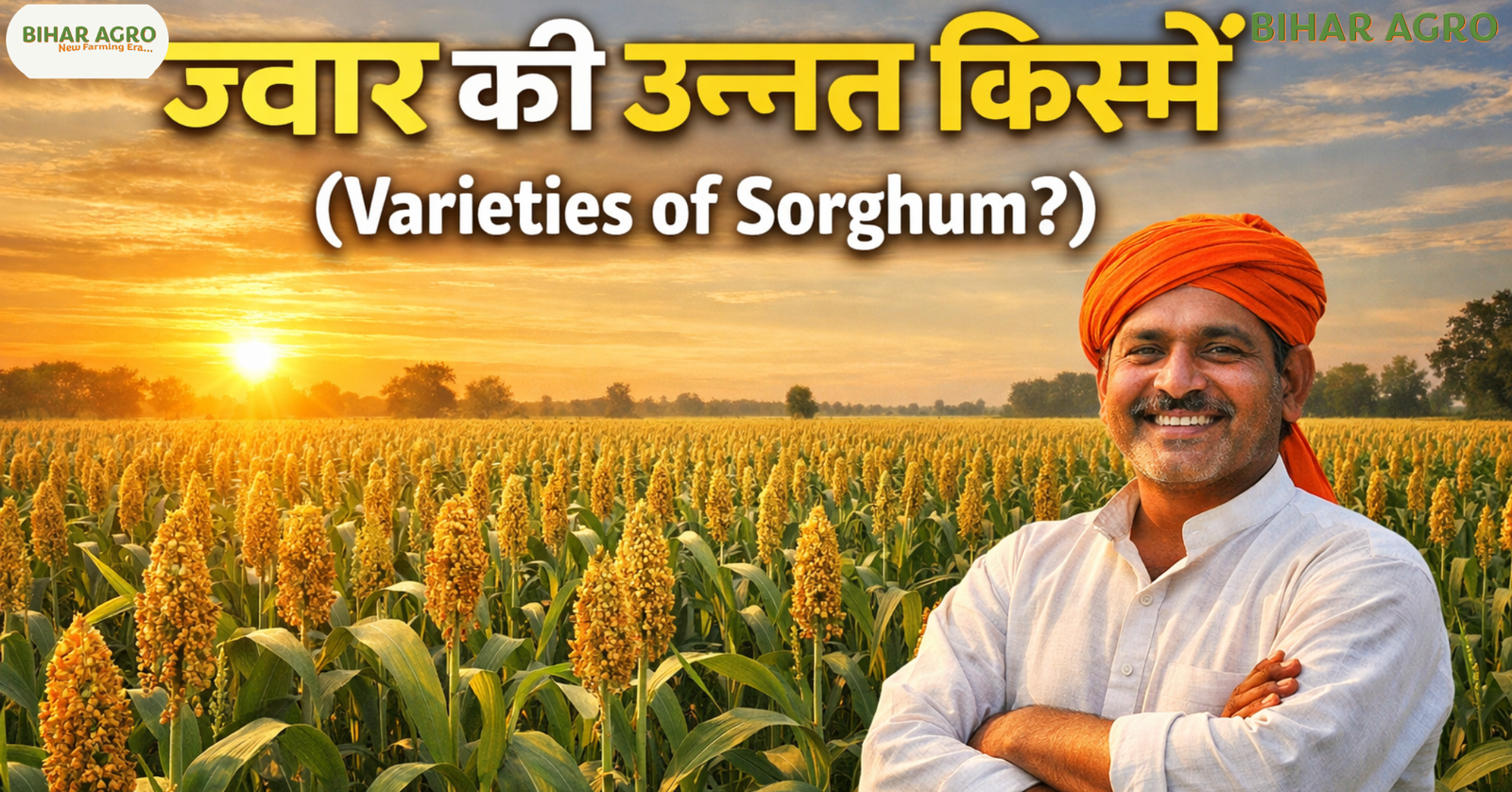 ज्वार की उन्नत किस्में, Varieties of Sorghum, ज्वार की खेती, हाइब्रिड ज्वार, चारा वाली ज्वार, Sorghum cultivation, Jowar seed varieties