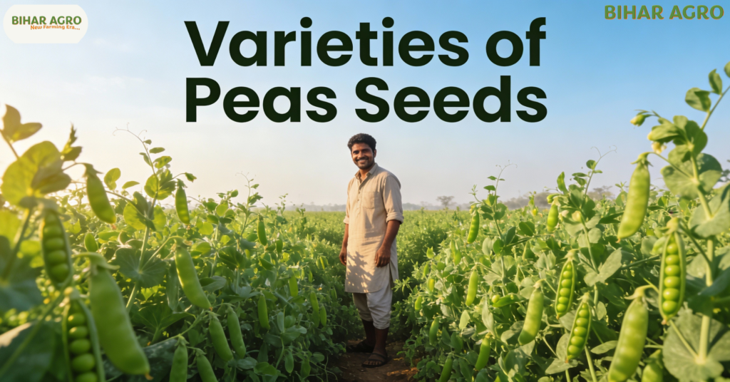 मटर की उन्नत किस्में, Varieties of Peas Seeds, best pea varieties, matar ki kisme, peas farming India,