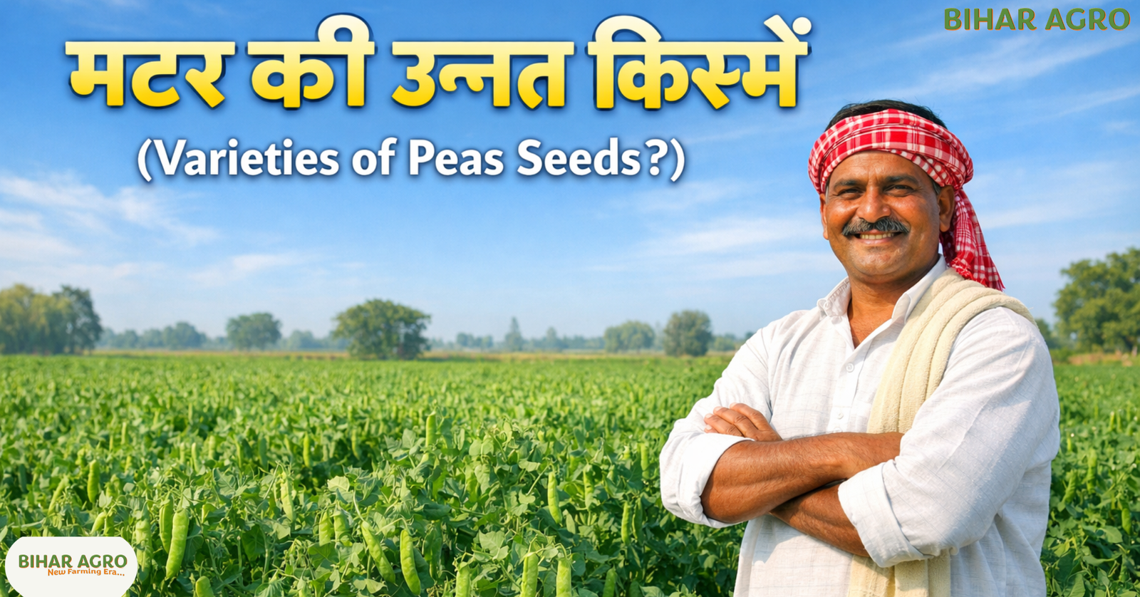 मटर की उन्नत किस्में, Varieties of Peas Seeds, best pea varieties, matar ki kisme, peas farming India,