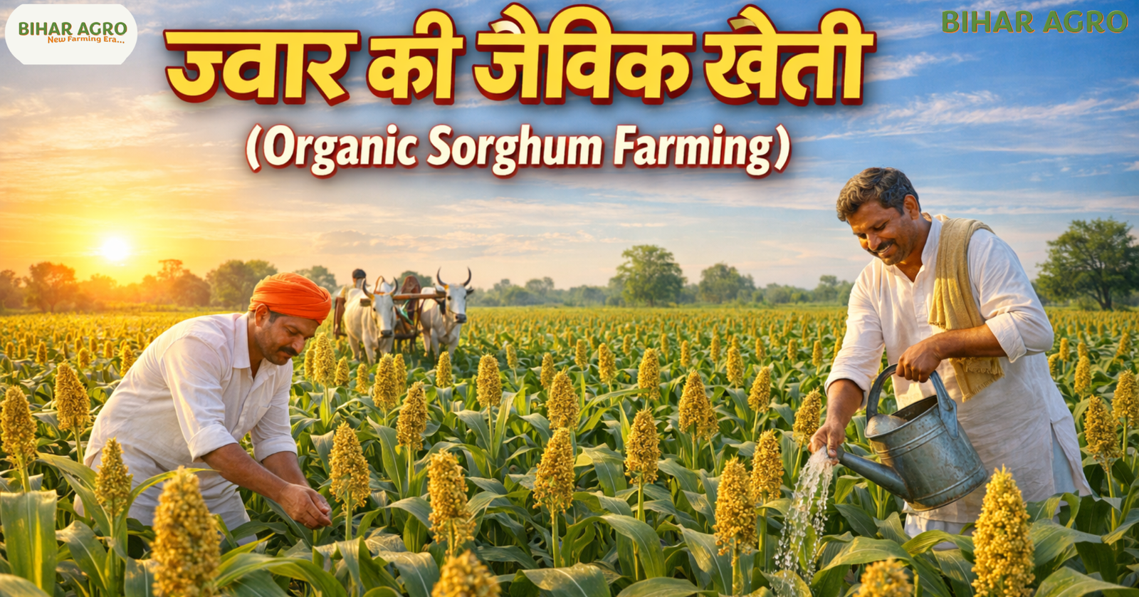 ज्वार की जैविक खेती, Organic Sorghum Farming, जैविक ज्वार खेती, ज्वार की खेती, organic farming in hindi, Organic Farming, Sorghum Farming, जैविक खेती, Millet Farming, Indian Agriculture,