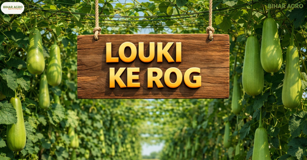 लौकी के रोग, Bottle Gourd Diseases,