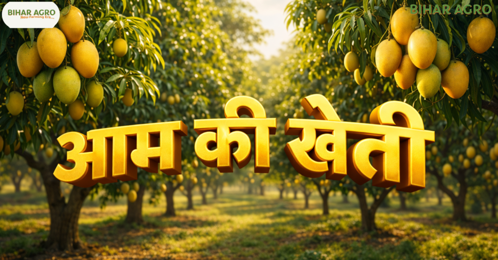 आम की खेती, Mango Farming, Mango Cultivation in Hindi, बागवानी, आम की उन्नत किस्में, खेती बाड़ी, Mango Farming in India, आम की उन्नत किस्में, आम की खेती से मुनाफा,