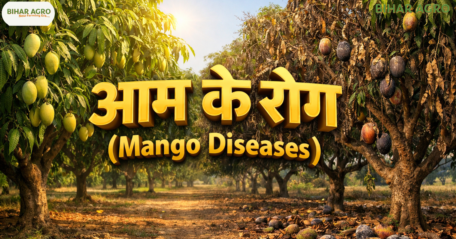 आम के रोग, Mango Diseases, पाउडरी मिल्ड्यू, गुच्छा रोग, आम का काला धब्बा, Mango Farming Tips, बागवानी, कीटनाशक, आम की बीमारी, mango plant disease, आम रोग नियंत्रण,