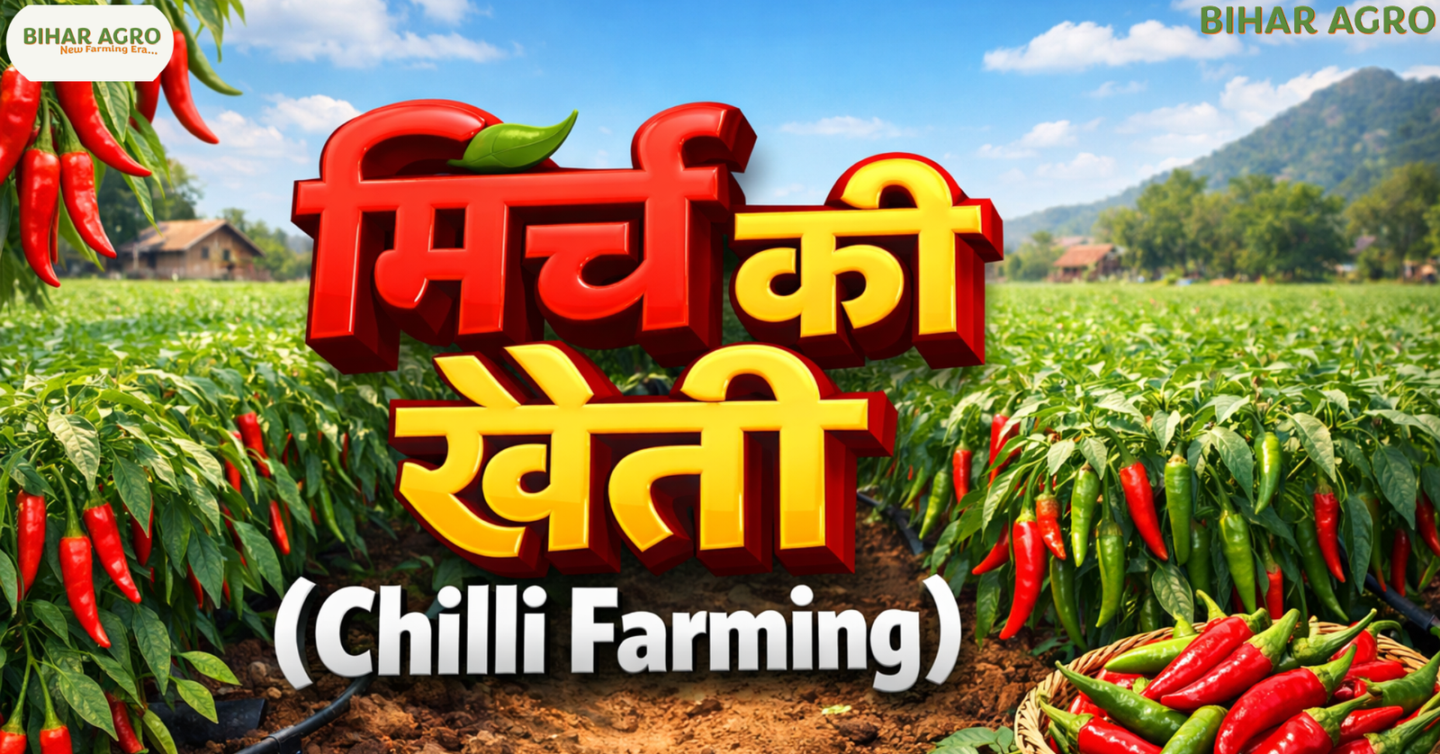 मिर्च की खेती, Chilli Farming, मिर्च उत्पादन, chilli varieties, मिर्च कीट, organic chilli farming, मिर्च सिंचाई, chilli yield,