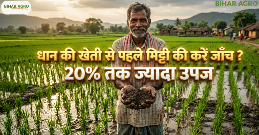 धान की खेती से पहले मिट्टी की करें जाँच, soil testing for paddy, paddy farming tips, soil health card, धान खेती टिप्स, मिट्टी जांच विधि, fertilizer management, agriculture tips India, rice farming India, Soil Testing Before Paddy Farming, धान की खेती से पहले मिट्टी की करें जाँच?, Soil testing for paddy, धान की खेती के तरीके, मिट्टी परीक्षण, कृषि सलाह, Bihar Agro, soil health card, paddy cultivation in India,