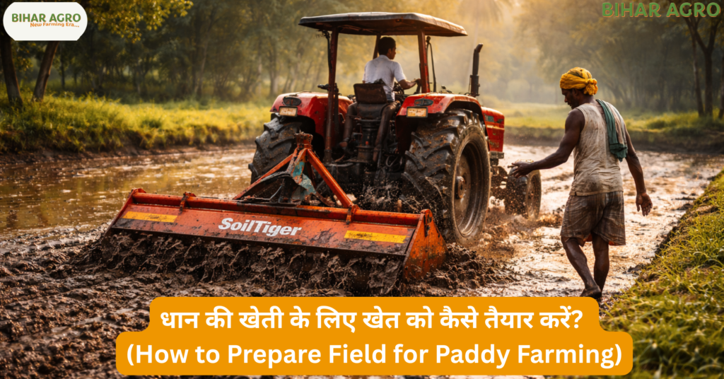 धान की खेती के लिए खेत को कैसे तैयार करें, Prepare Field for Paddy Cultivation, paddy field preparation, dhan ki kheti, rice farming tips, paddy cultivation India, Prepare Field for Paddy Farming,