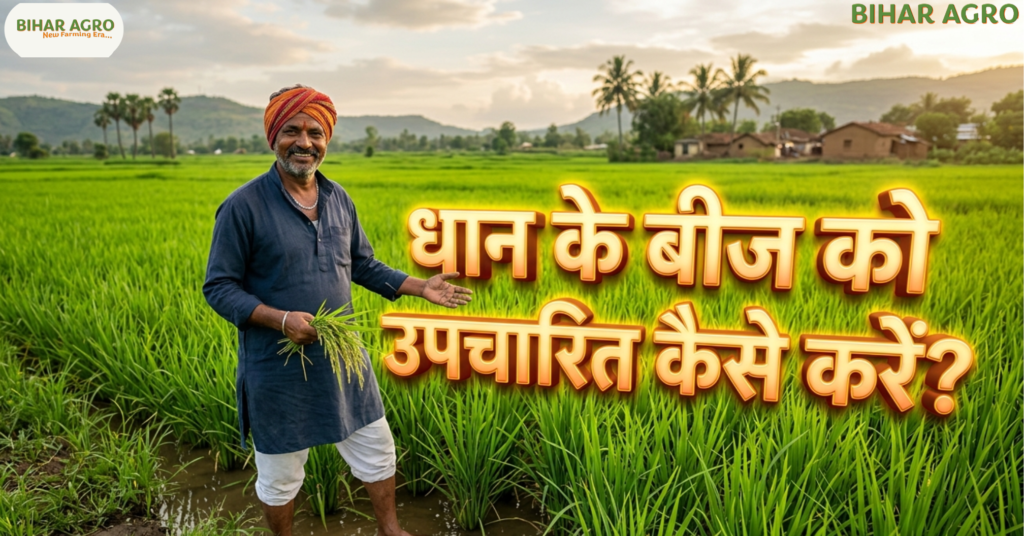 धान के बीज को उपचारित कैसे करें, seed treatment paddy, paddy seed treatment method, धान की खेती, बीज उपचार विधि, rice seed treatment, organic seed treatment, dhan kheti tips, Treat Paddy Seeds,