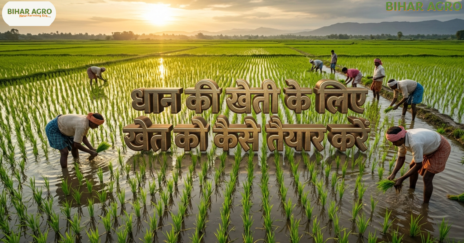 धान की खेती के लिए खेत को कैसे तैयार करें, Prepare Field for Paddy Cultivation, paddy field preparation, dhan ki kheti, rice farming tips, paddy cultivation India, Prepare Field for Paddy Farming,