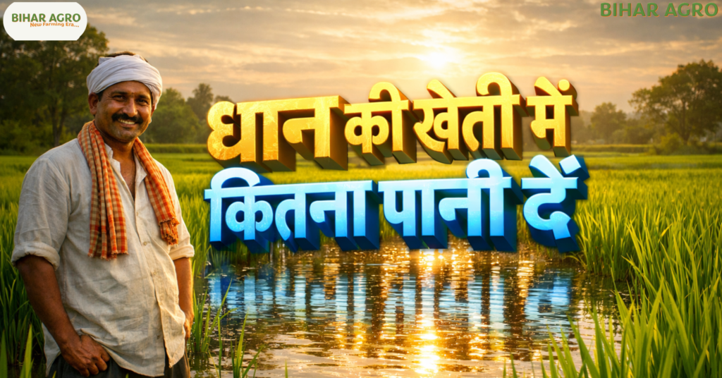 धान की खेती में कितना पानी दें, How Much Water to Give in Paddy Farming, धान की सिंचाई, paddy water management, rice farming tips, Bihar Agro, agriculture subsidies, PM-KUSUM, SRI method, धान की खेती में कितना पानी दें, paddy water requirement, rice irrigation, धान सिंचाई, paddy farming water, धान की खेती, पानी प्रबंधन, rice farming, irrigation tips, किसान टिप्स,