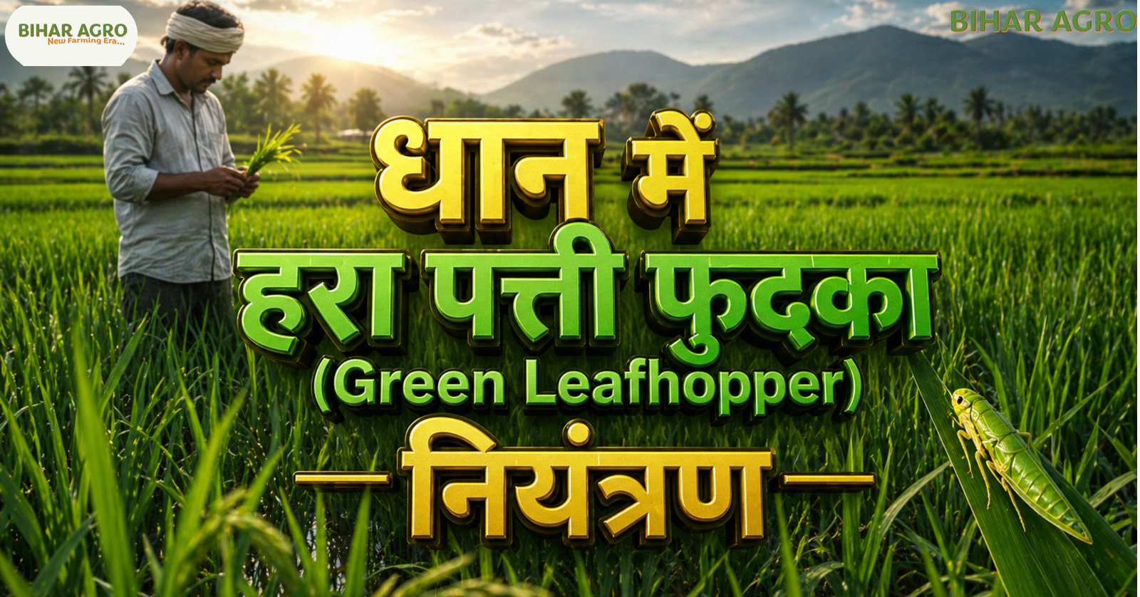 धान में हरा पत्ती फुदका, Green Leafhopper control, धान कीट नियंत्रण, Paddy pest control, Leafhopper treatment, धान कीट, ग्रीन लीफहॉपर, Paddy farming, Organic pest control, Chemical pest control, Rice insects, धान में हरा पत्ती फुदका (Green Leafhopper) कीट से रोकथाम कैसे करें तथा जैविक और रासायनिक उपचार कैसे करें?, Green Leafhopper Control in Paddy, धान के कीट, जैविक कीटनाशक, रासायनिक उपचार, बिहार एग्रो, Paddy Farming,