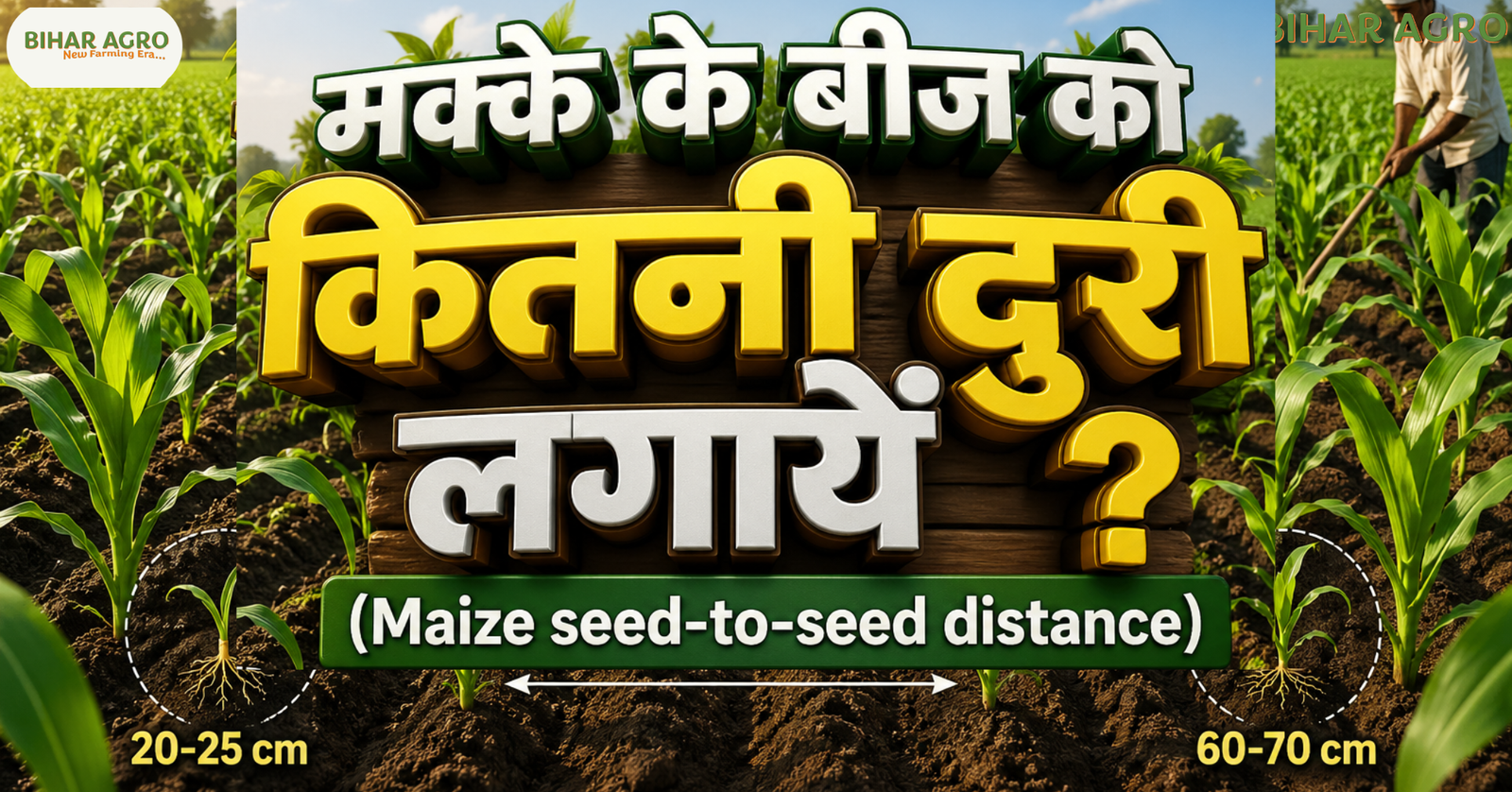 मक्के के बीज को कितनी दुरी लगायें, maize seed to seed distance, मक्का बुवाई दूरी, maize spacing India, hybrid maize spacing, maize farming, corn spacing, मक्का खेती, seed distance, agriculture tips, farming India, मक्के की खेती, मक्के के बीज को कितनी दुरी लगायें (Maize seed-to-seed distance) ?, Maize farming technology, corn seed spacing, Agriculture tips Hindi, Bihar Agro, high yield maize, hybrid seed sowing, मक्का बुवाई का सही तरीका,