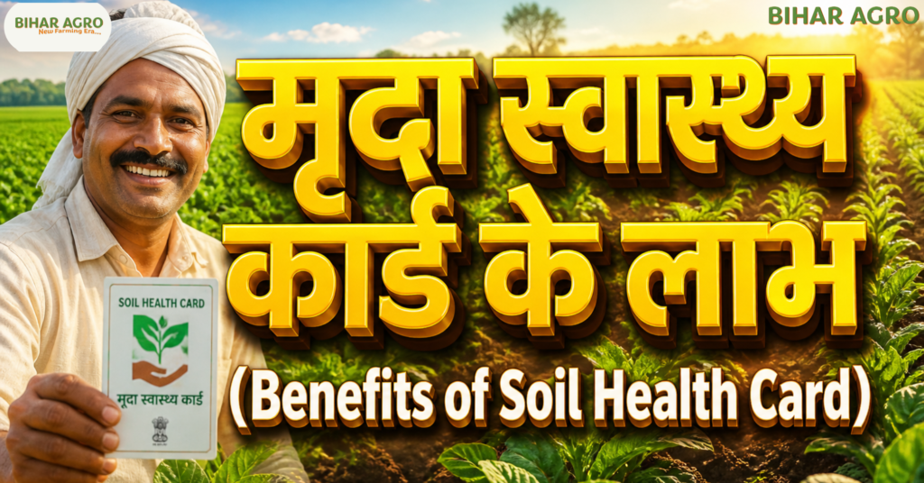 मृदा स्वास्थ्य कार्ड के लाभ, Benefits of Soil Health Card, Soil Health Card Scheme, मिट्टी परीक्षण के फायदे, agriculture tips, high yield farming, soil testing lab, किसान योजना, खेती के तरीके, मृदा कार्ड फायदे,