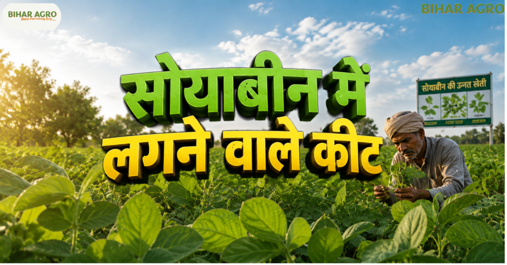सोयाबीन में लगने वाले कीट, Soybean Pests, soybean pest control, soybean insects, soybean disease and pest management, सोयाबीन कीट नियंत्रण,