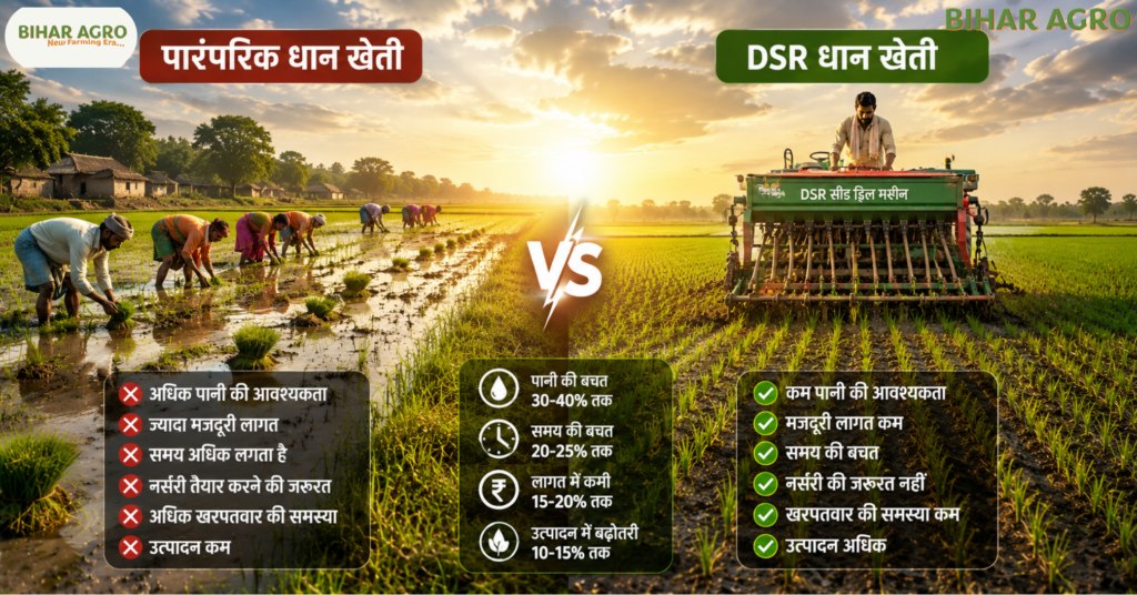 DSR rice farming, DSR, DSR धान खेती, Direct Seeded Rice Farming, धान की नई तकनीक, पानी बचाने वाली खेती, धान खेती 2026, बिहार धान खेती, धान की सीधी बुवाई, कम लागत धान खेती, आधुनिक खेती तकनीक,