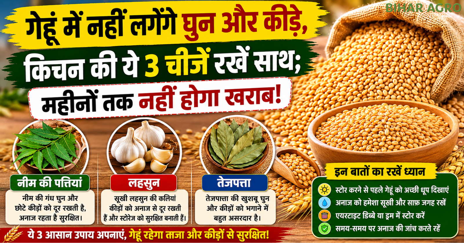 gehun me ghun se bachane ke gharelu upay, गेहूं में घुन से बचाव,गेहूं स्टोर करने के उपाय,wheat storage tips in hindi,गेहूं में कीड़े क्यों लगते हैं,घरेलू उपाय से गेहूं सुरक्षित रखें,अनाज को कीड़ों से कैसे बचाएं,kitchen tips for wheat storage,