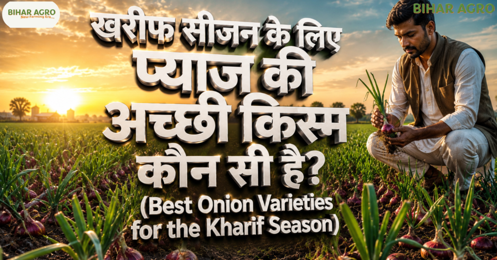 खरीफ सीजन के लिए प्याज की अच्छी किस्म कौन सी है?, खरीफ प्याज की खेती, N-53 प्याज की किस्म, एग्रीफाउंड डार्क रेड, बसवंत 780, प्याज की उन्नत किस्में, Bihar Agro, Onion farming in Kharif, High yield onion varieties, Best Onion Varieties for the Kharif Season,