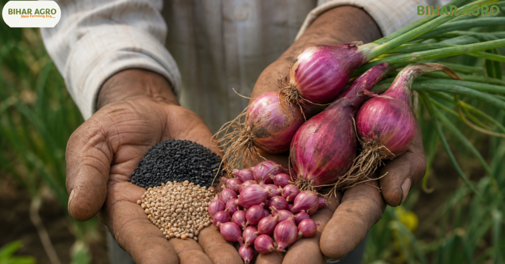 प्याज की खेती, Onion Farming, Pyaj ki kheti kaise kare, Profitable agriculture business, High yield onion varieties, Onion farming guide in Hindi, Farmidas Agro tips, Smart farming, Commercial crop cultivation, प्याज की खेती (Onion Farming) से ज्यादा उत्पादन और मुनाफा कैसे लें? जानें किस्म, खाद, सिंचाई, रोग नियंत्रण,