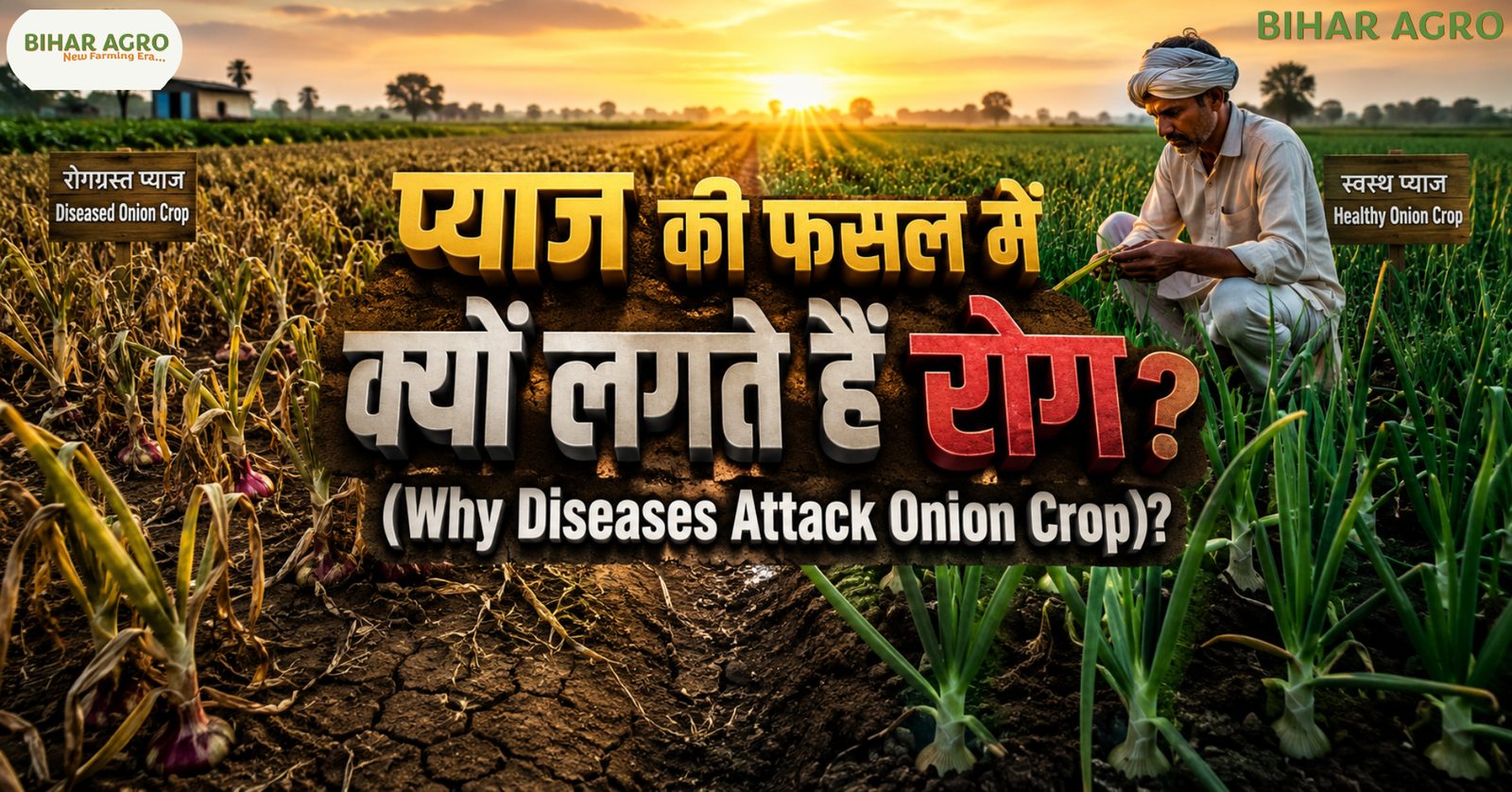 प्याज की फसल में क्यों लगते हैं रोग, Why Diseases Attack Onion Crop, प्याज रोग कारण, Onion Disease Reasons, प्याज की खेती, Onion Farming, प्याज रोग नियंत्रण,