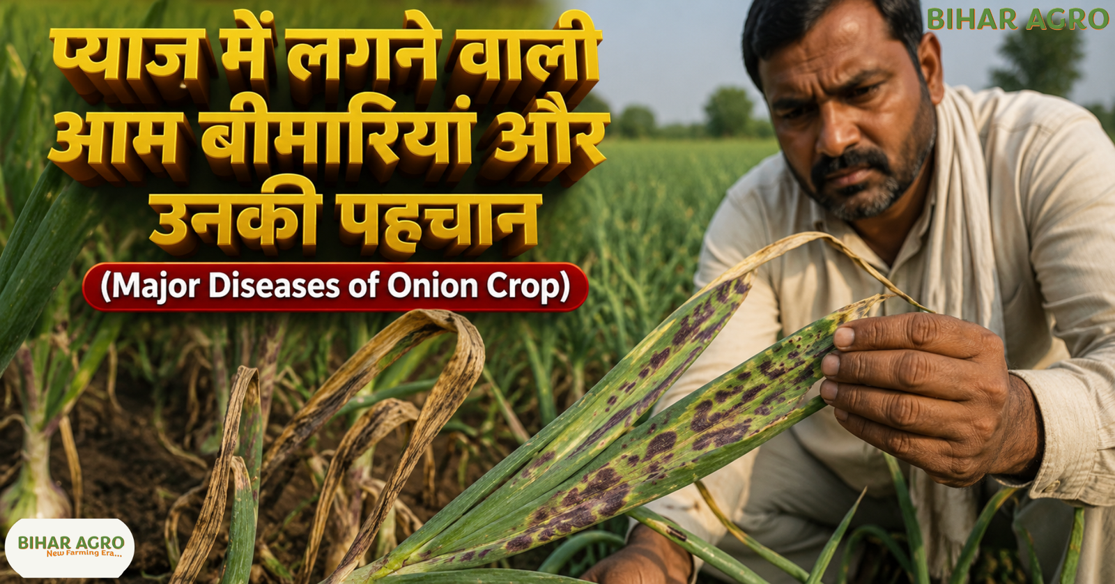 प्याज के रोग, onion disease control, प्याज में फफूंद रोग, purple blotch onion, डाउनी मिल्ड्यू नियंत्रण, प्याज झुलसा रोग, प्याज की फसल बचाने के उपाय, onion fungus disease, basal rot in onion, प्याज रोग की पहचान,